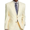 Tayion Classic Fit Suit Separates Coat, Cream